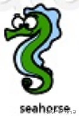 20个动物英语单词,2-8岁儿童学动物英文单词