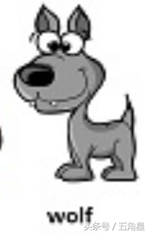 动物的英文单词都有哪些,动物英语单词13个