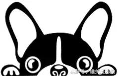 换头真的能活下来吗,换头成功是什么感受