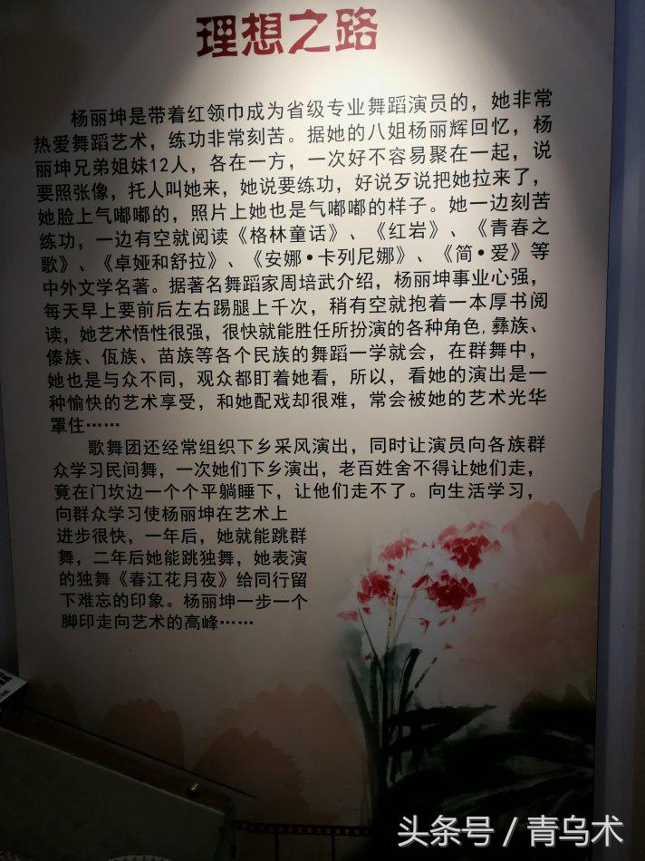 磨黑杨丽坤,磨黑古镇杨丽坤故居