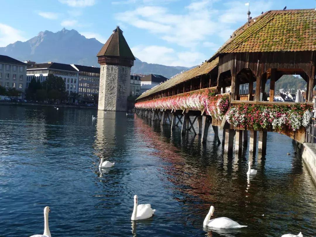 2009年琉森音乐节,藤田真央琉森音乐节