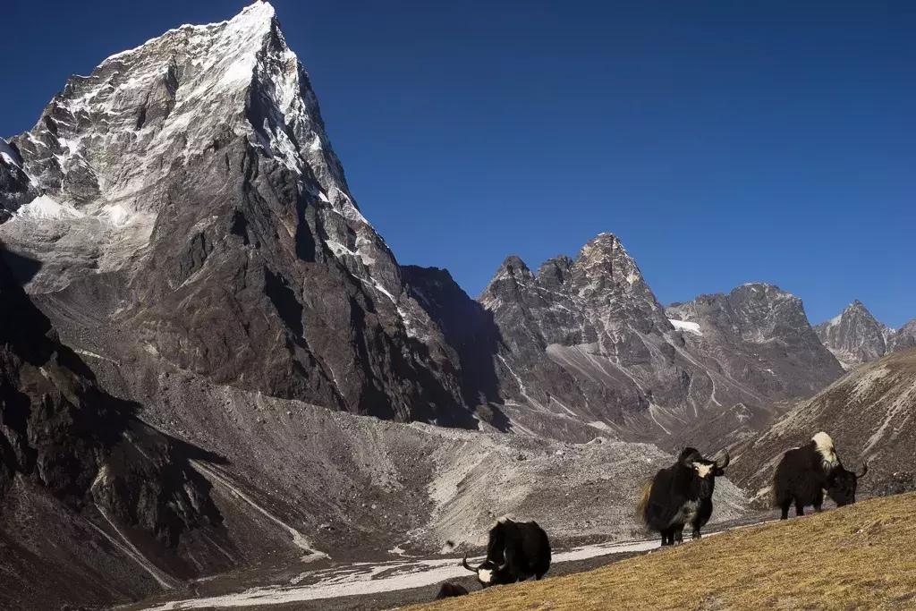 尼泊尔ebc徒步几天可以完成,尼泊尔ebc徒步多少公里