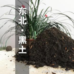 创业新点子100个最新落地技巧,年轻人创业小秘诀有哪些