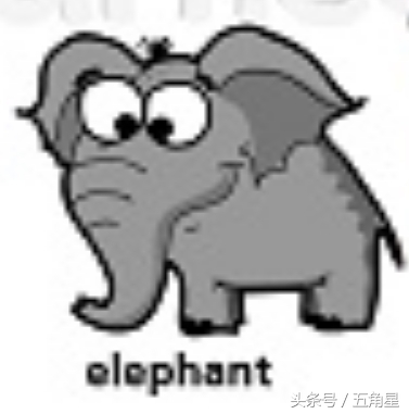 动物的英文单词都有哪些,动物英语单词13个