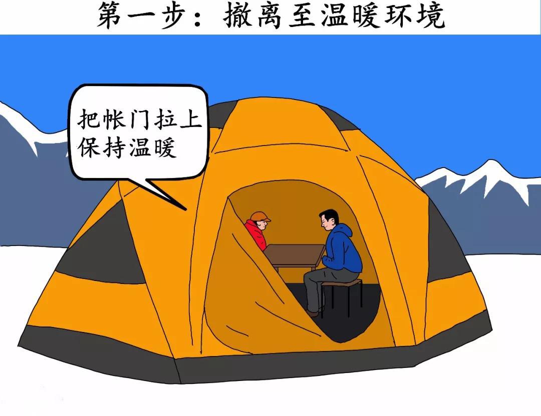 菜鸟日记在线观看,菜鸟日记最新版