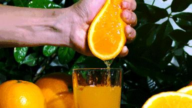 太原水果批发哪里最便宜,1000元水果免费送活动