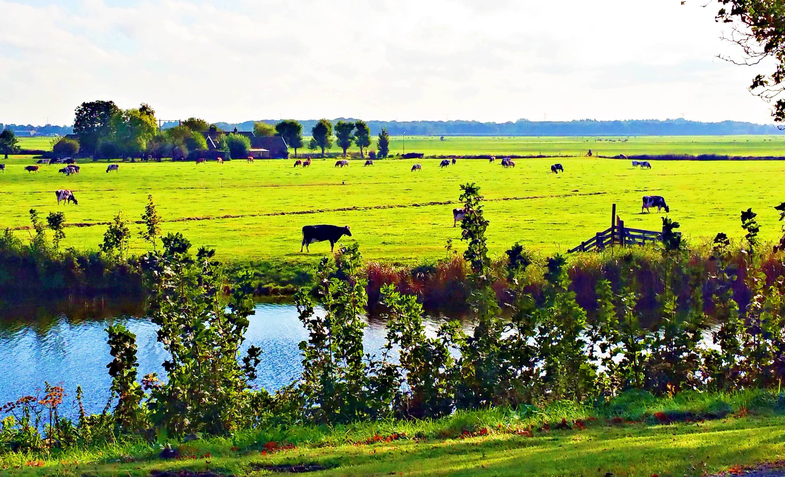 荷兰威尼斯旅游,尽情的体验异域威尼斯的水乡风情