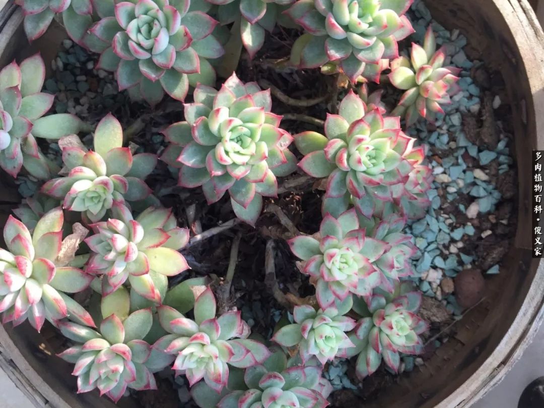 遇见你真是很幸运,遇见你真的很幸运下一句