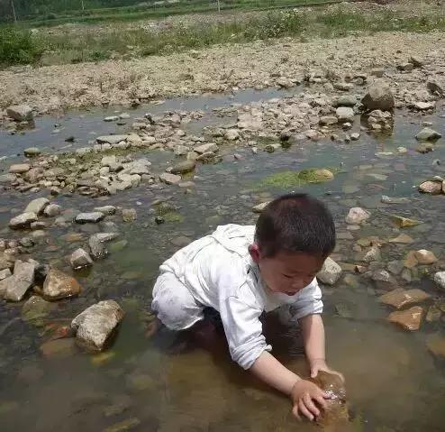 农村河里的这些小野味，你吃过吗？个个是绝品，超好吃！