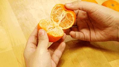 太原水果批发哪里最便宜,1000元水果免费送活动