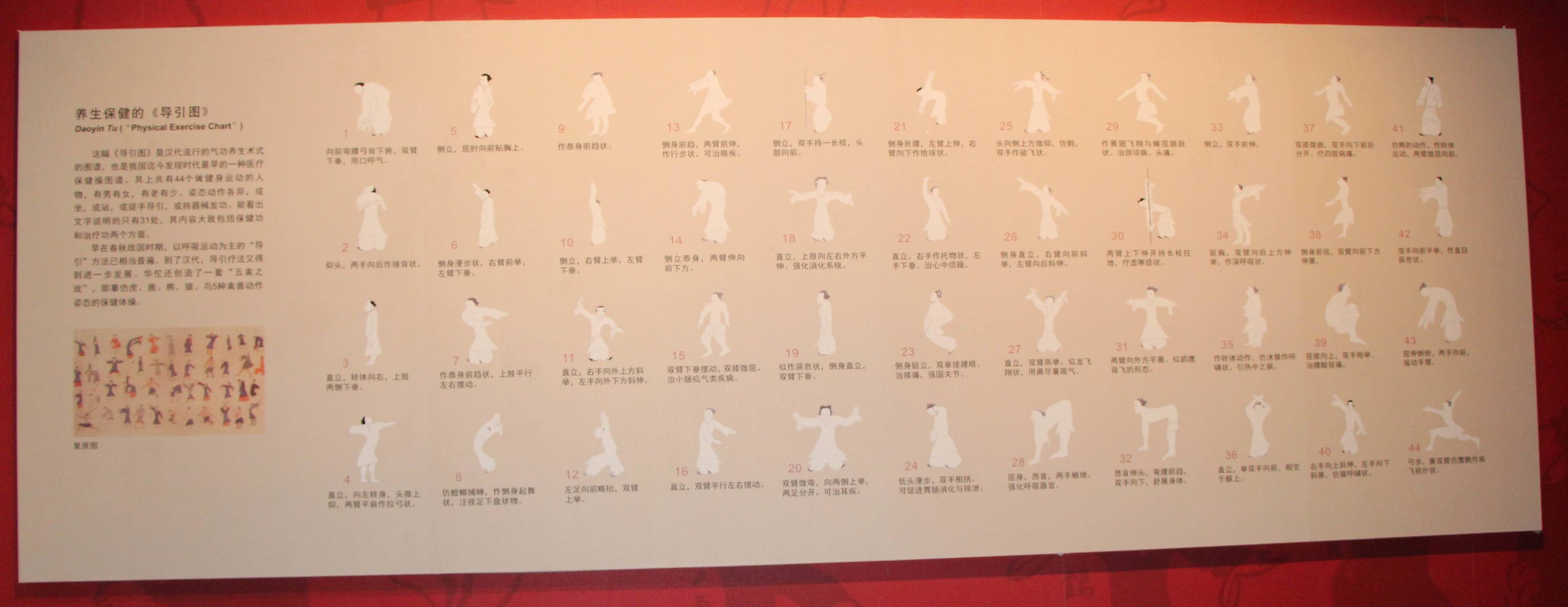 旅行青蛙现状,旅行青蛙为什么让人操碎心