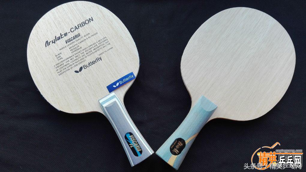 龙5和蝴蝶王哪个更适合业余选手,蝴蝶王龙五底板衰减率