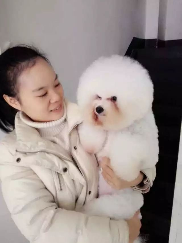 田丹最后一集画面,田丹最后什么结果