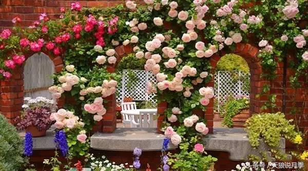 我遇到人生最大的坎坷我该怎么办,种花遇到的问题