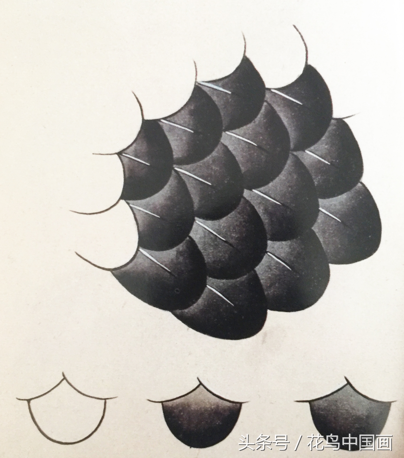 工笔国画白鸟的画法,写意花鸟羽毛技法