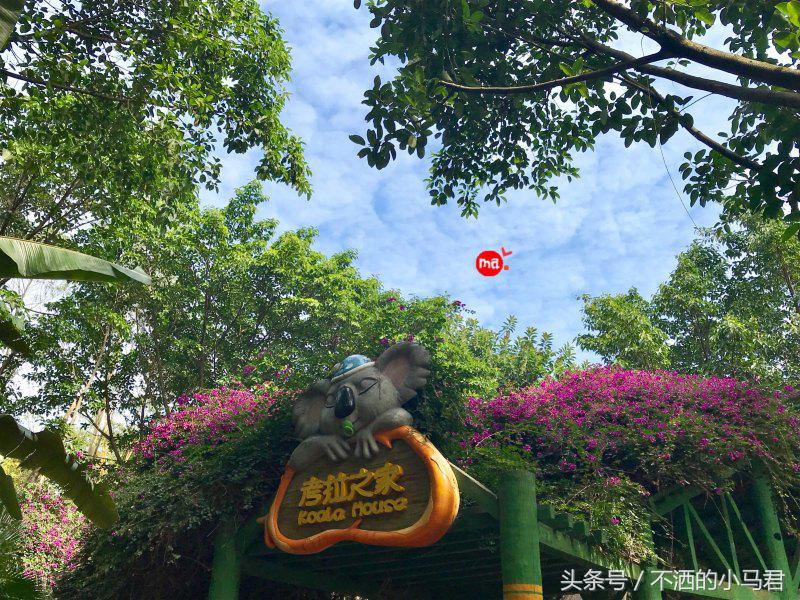 长隆野生动物园3天2晚亲子游,广州长隆野生动物园亲子游攻略