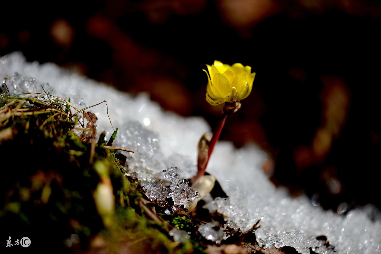 64卦象数讲座5：天时人事日相催，冬至阳生春又来