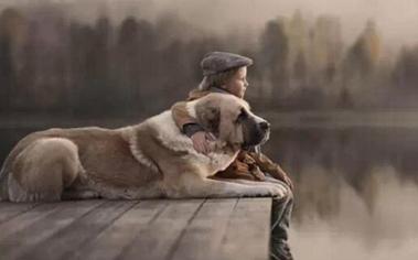 当你的宠物老了病了还能玩耍吗,宠物老了怎么办