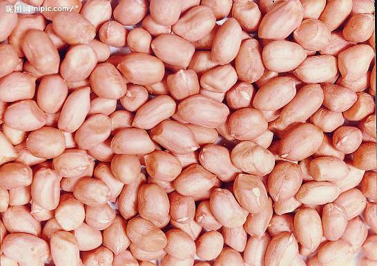 好吃还不胖的花生酥,超甜花生酥