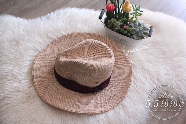 蚂蚁妈妈怀孕,蚂蚁妈妈怀孕了