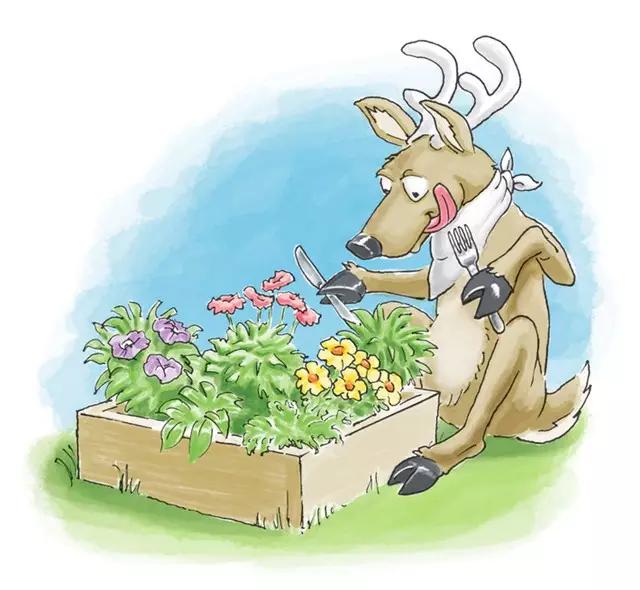 北美大叔玩起真实版开心农场,1平米菜园竟成国际潮流