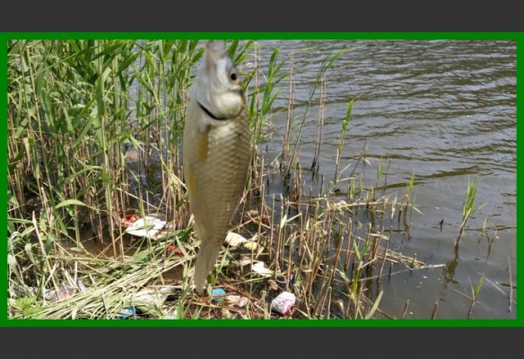 閲庨挀鐑х儰缁濅匠鐮佸ご,鎺ㄨ崘閽撻奔鐑х儰