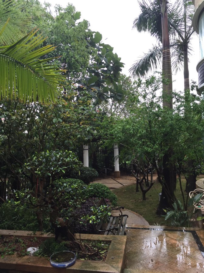 鼓浪屿自驾游全攻略,厦门鼓浪屿登岛全攻略