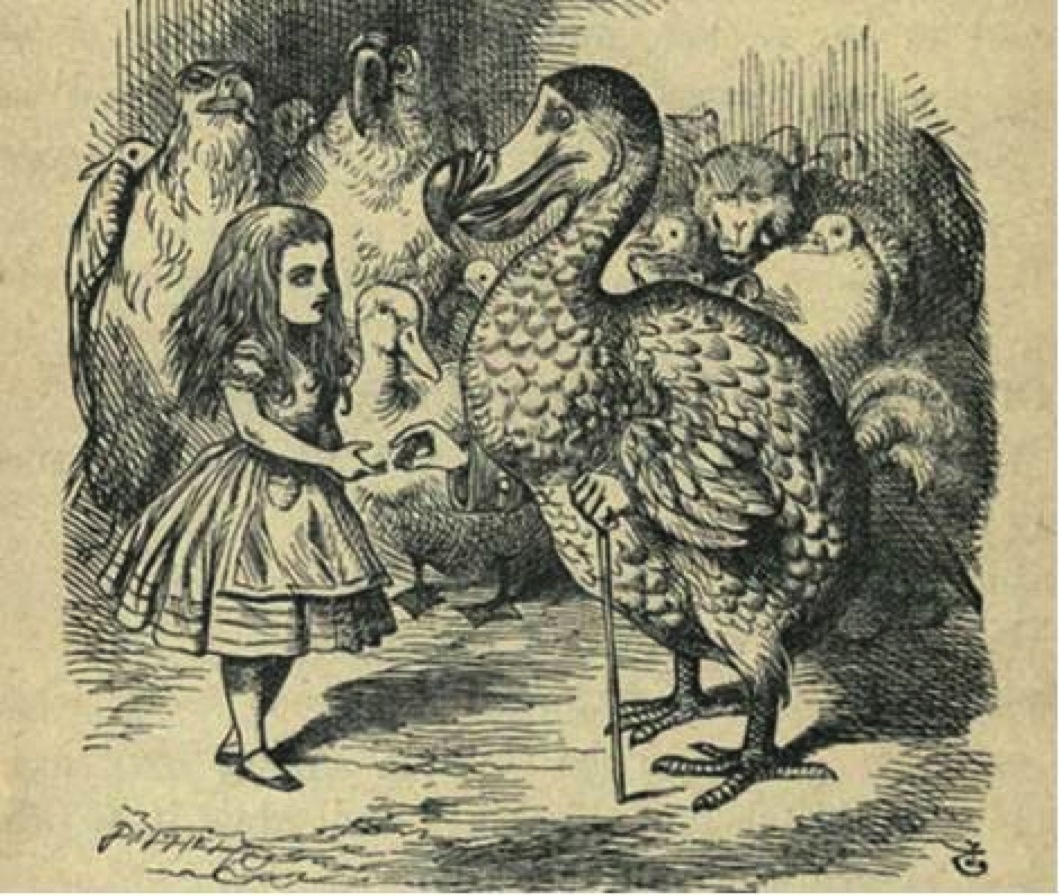 爱丽丝被关进监狱结果逃了出来,爱丽丝被关在城堡里