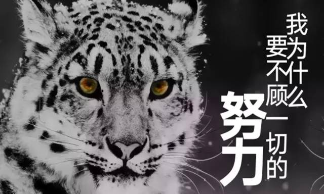 time访谈完整版,time访谈