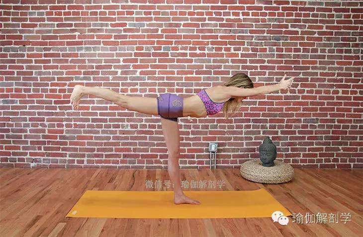 练臀部的瑜伽体式,想让臀部翘起来怎样练最快翘起来