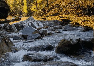 古诗词中的溪水|溪花与禅意相对亦忘言