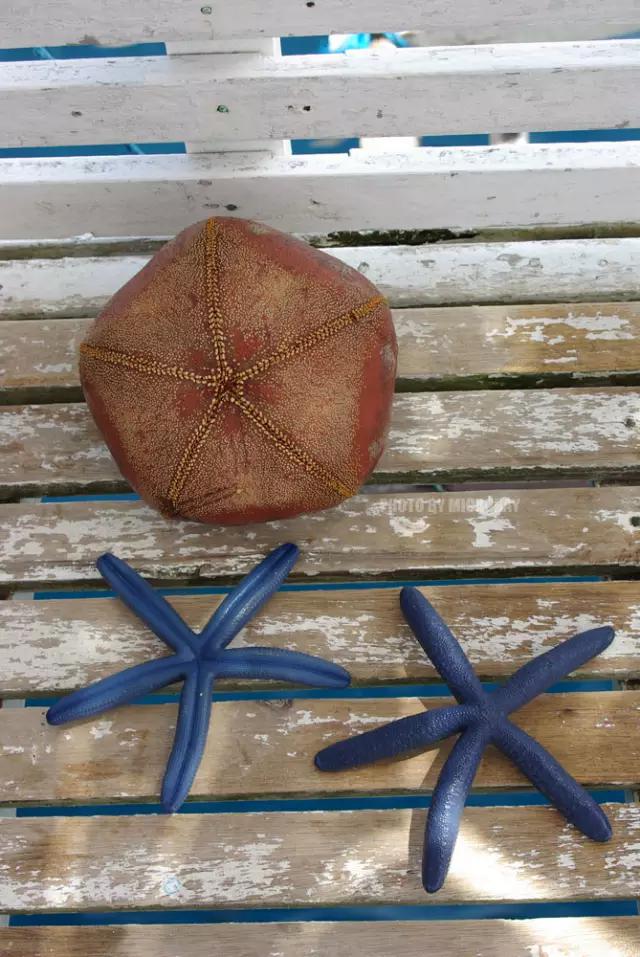 这才是菲律宾的真面目，一顾迷人眼，再顾享入“菲菲”