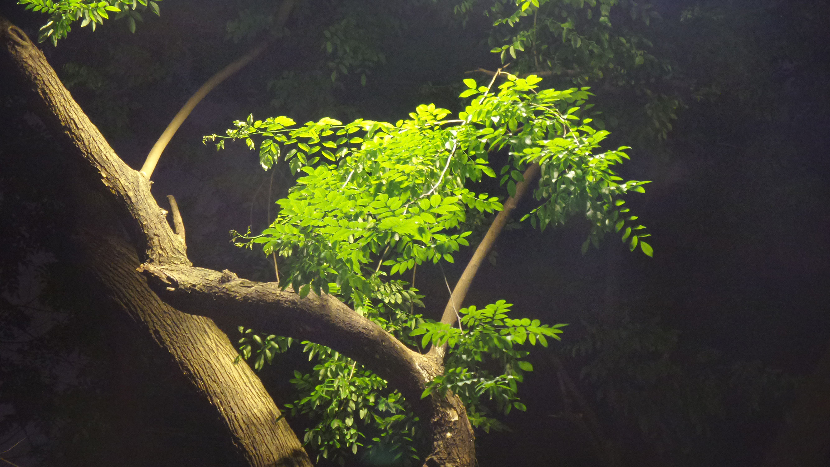 十倍光学变焦公认最好拍照手机,可变焦拍照神器