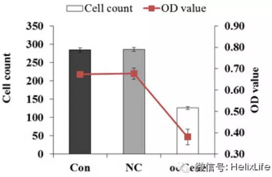 科研干货教程,sci科研图
