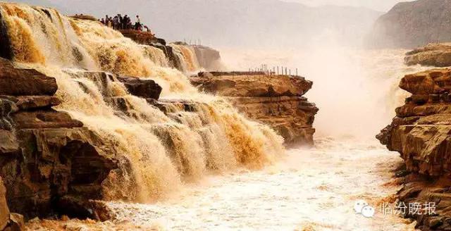 头条|我叫临汾，这是我的最新简历，请多关照！