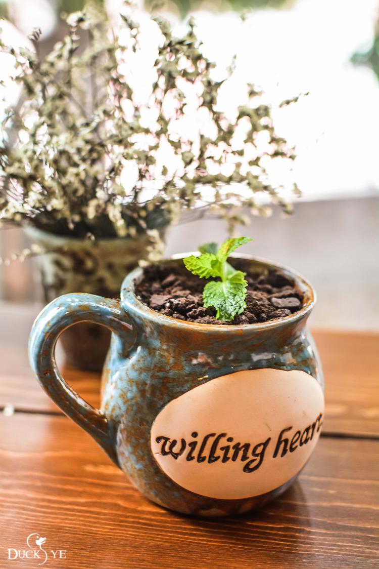 转角遇到爷茶，享一份慵懒的下午茶时光