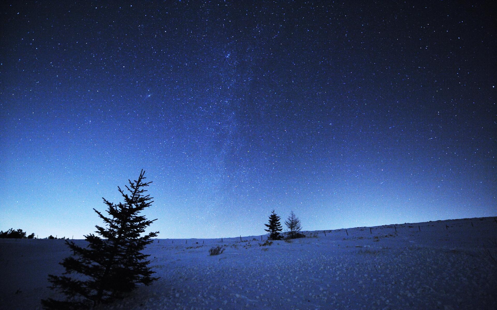 兼职导游做些什么,专职导游的利弊