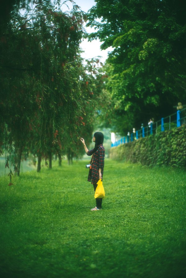 从化温泉之旅,从化文轩苑温泉攻略