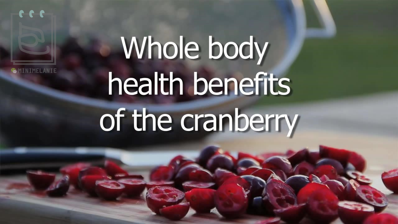 北美红宝石蔓越莓干,北美顶级红宝石蔓越莓