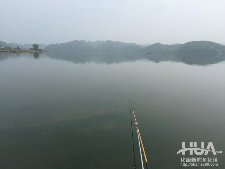 青龙湾附近野钓,株洲青龙湾野钓