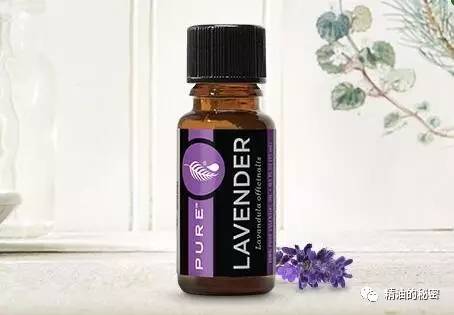 精油5大功效,用这10种精油搞定生活中常见病症