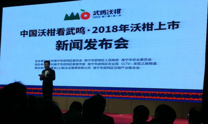 广西武鸣沃柑今年有多少,广西武鸣沃柑推向全国