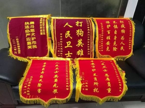 长沙打死金毛事件,要人命