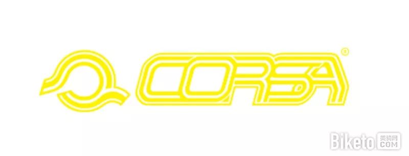 最新年度品牌销售排行榜,2018单品销量世界前十