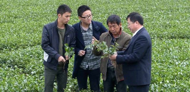 青马是什么马图片,大青马和一般的马