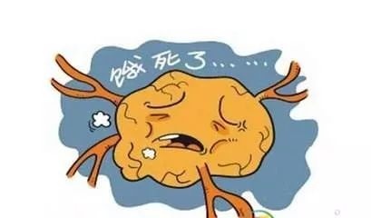 「王淑安」“营”在理念，“养”在过程