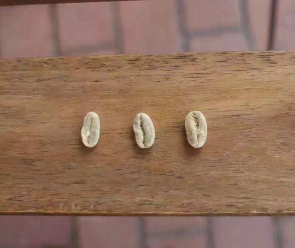 咖啡师入门必看的咖啡知识,精品咖啡学中咖啡的基本知识