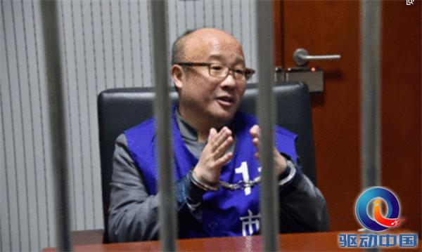 庞氏骗局张小雷,庞氏诈骗最新案件