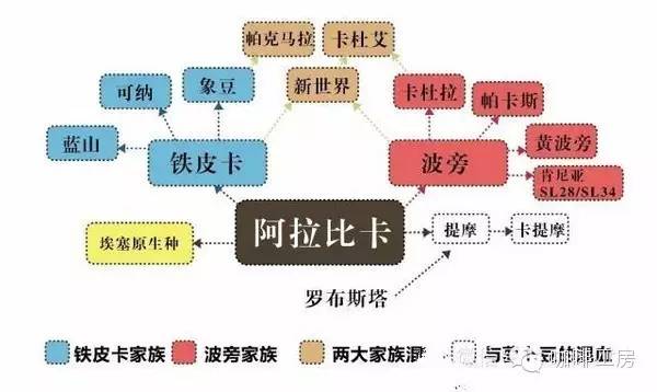 咖啡师入门必看的咖啡知识,精品咖啡学中咖啡的基本知识