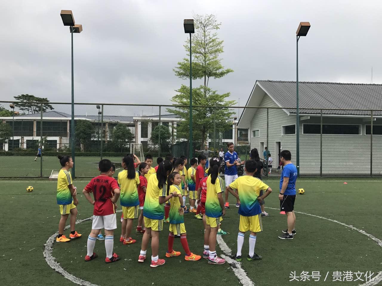 认识足球微课,认知各类球的地方